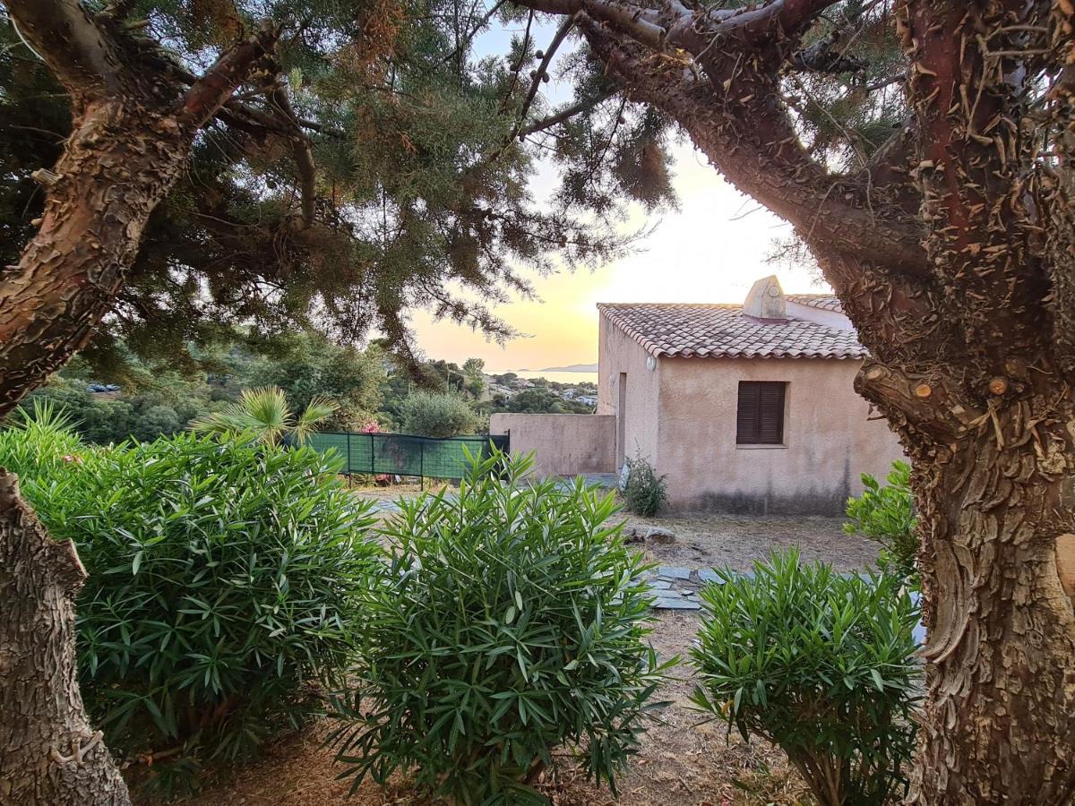 Studio Avec Terasse Vue Mer Porticcio  Exterior foto
