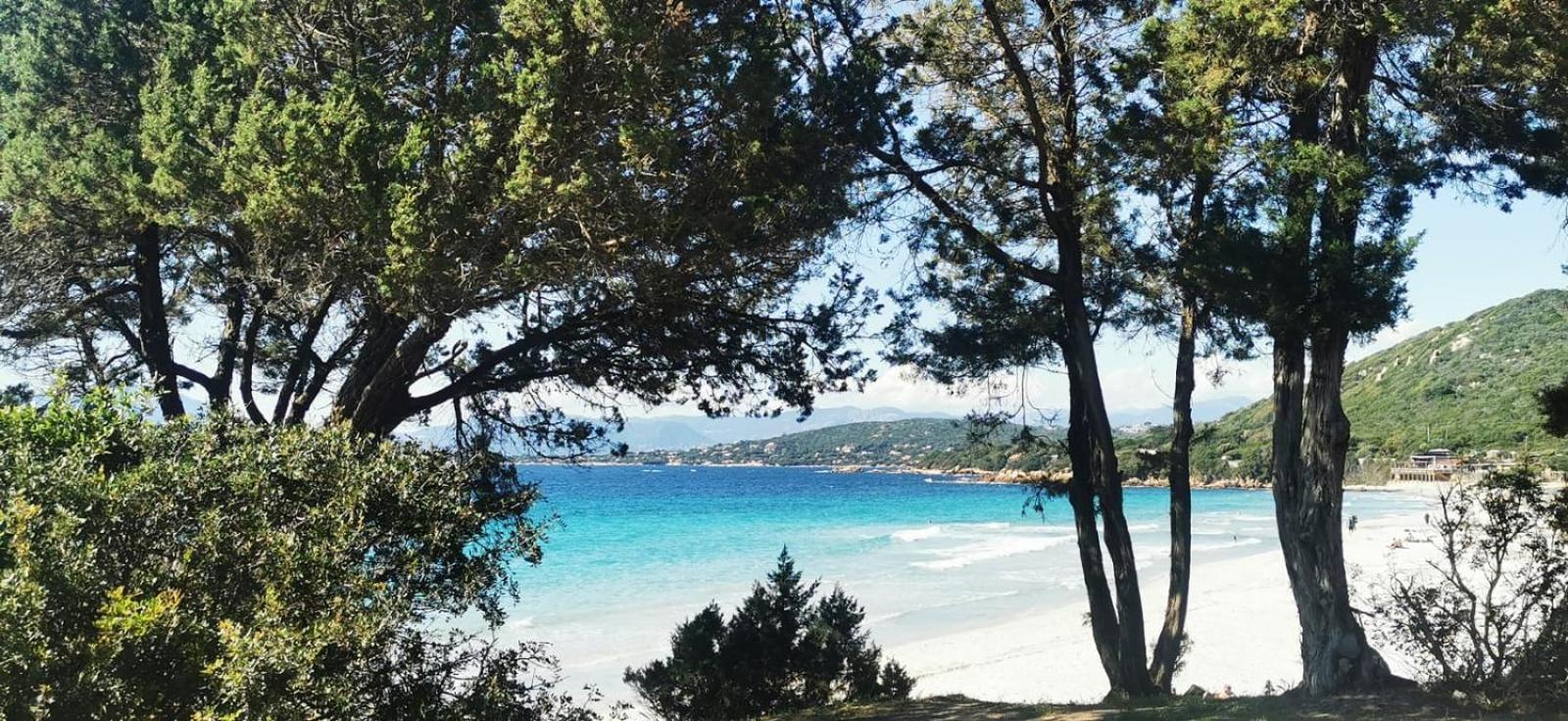 Studio Avec Terasse Vue Mer Porticcio  Exterior foto